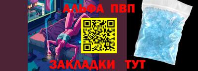 спиды Донской